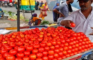 Tometo: टमाटर के भाव से हुए किसान परेशान, सरकार किसानो की सहायता के लिए उठाने जा रही कदम