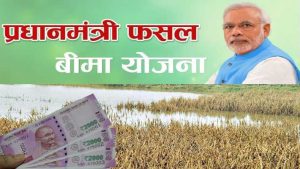  PM Fasal Bima Yoja अब फसल बर्बाद होने पर किसानो के नहीं छूटेंगे पसीने सरकार दे रही पूरा पैसा जल्द से जल्द करे अप्लाई 