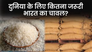 Rice Update अब भारत ने सिंगापूर भूटान ऐसे कई देशो की मांग सुनकर देती है गैर बासमती सफ़ेद चावल की एक्सपोर्ट की अनुमति