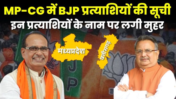MP Chhattisgarh Election: छत्तीसगढ़ में किसकी बन सकती है सरकार, मध्य्प्रदेश के बुराहनपुर में कांग्रेस हाईकमान से क्यों है नाराज जाने पूरा मामला 